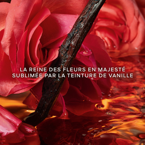GUERLAIN Shalimar Millesime Rose - Eau de Parfum 3346470624627